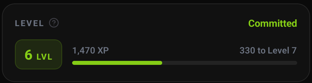 The level card showing current level, XP and progress to the next level